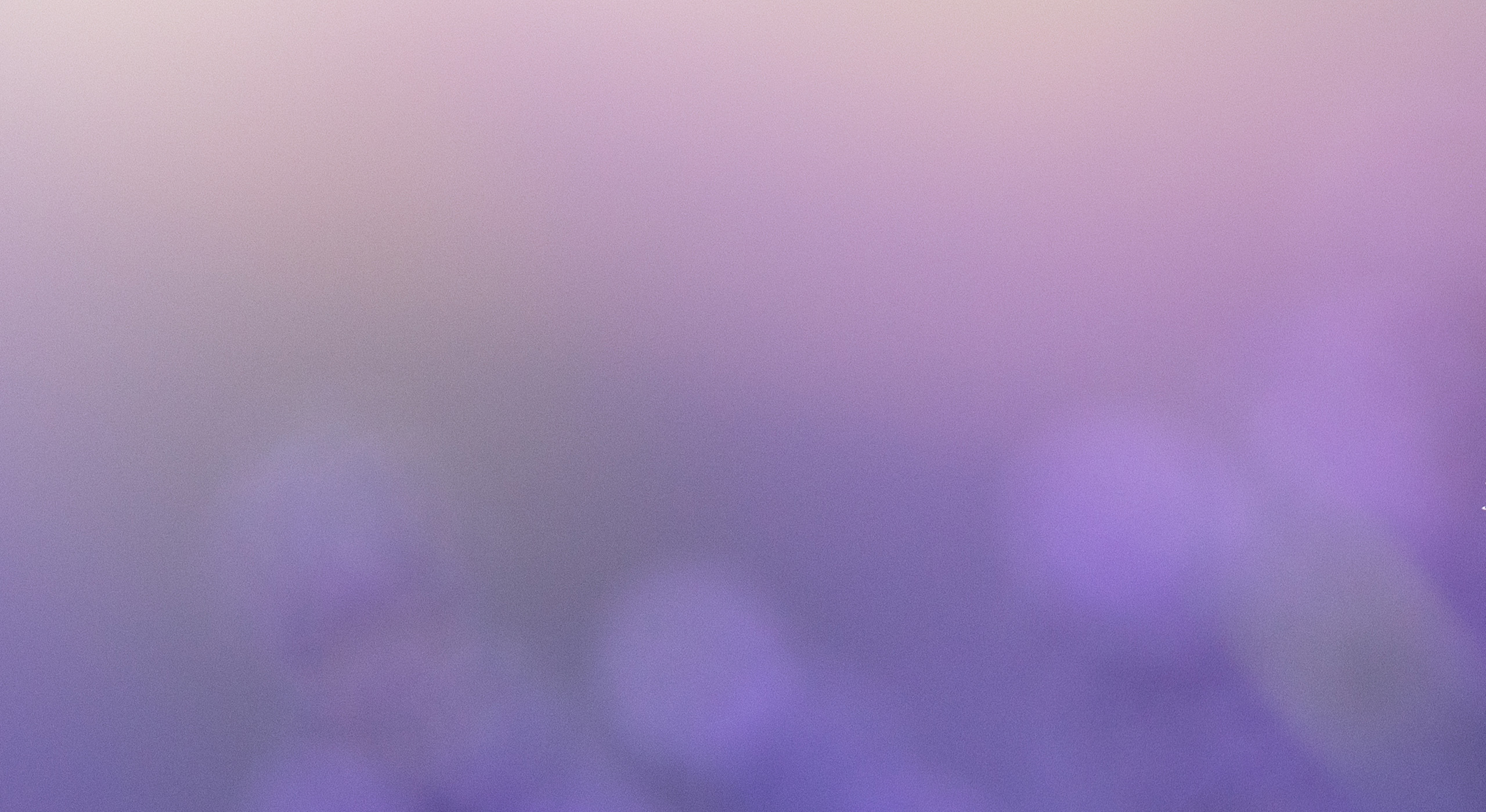 Das Niedersächsische Spargelmuseum in NienburgThe Lower Saxony Asparagus Museum in NienburgNiedersachsens aspargesmuseum i NienburgHet aspergemuseum van Nedersaksen in Nienburg